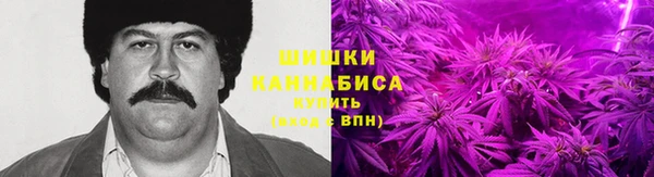 ПСИЛОЦИБИНОВЫЕ ГРИБЫ Аркадак