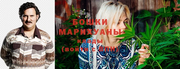 ПСИЛОЦИБИНОВЫЕ ГРИБЫ Аркадак