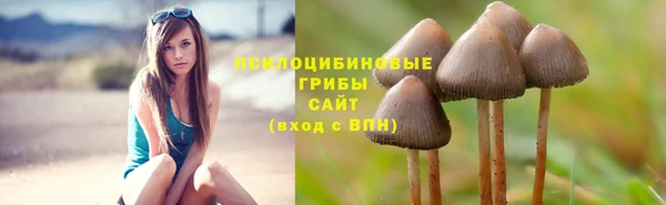 ПСИЛОЦИБИНОВЫЕ ГРИБЫ Аркадак
