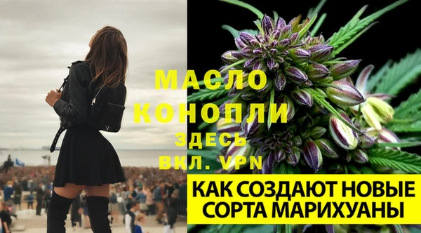 mdpv Лагань