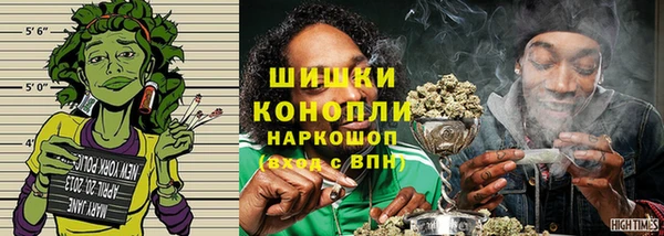 ПСИЛОЦИБИНОВЫЕ ГРИБЫ Аркадак